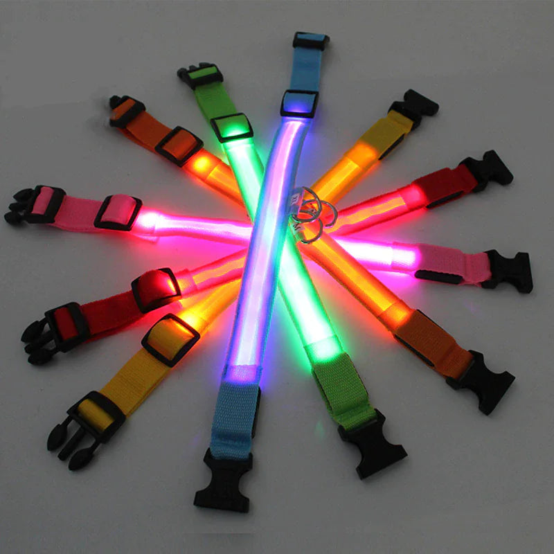 Luminous Safety Pet Collar with Adjustable LED