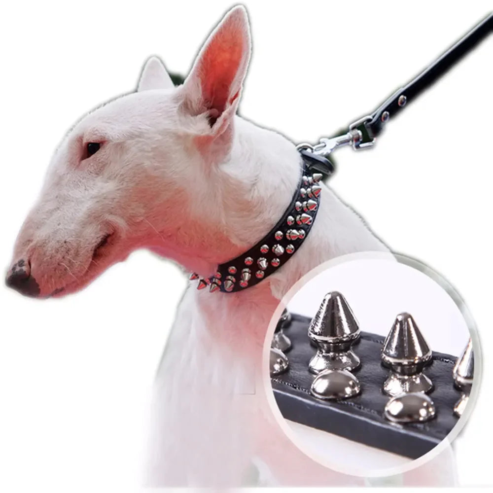 Rugged Leather Spiked Collar for Dogs and Cats