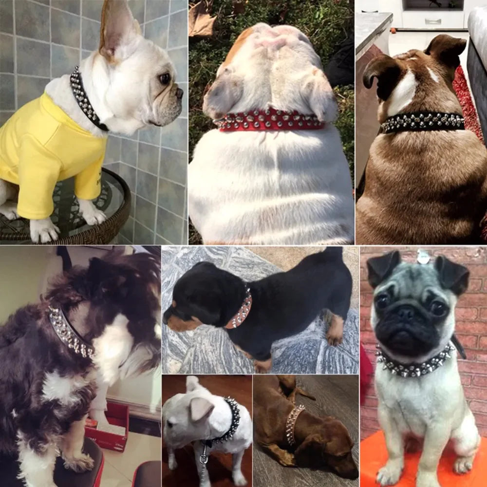 Rugged Leather Spiked Collar for Dogs and Cats
