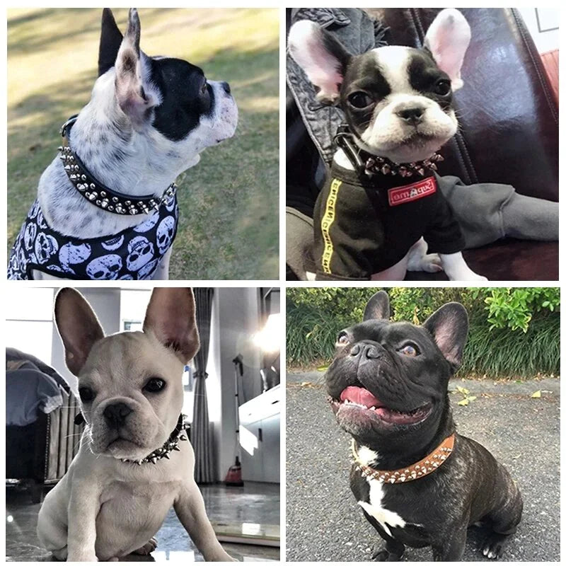 Rugged Leather Spiked Collar for Dogs and Cats
