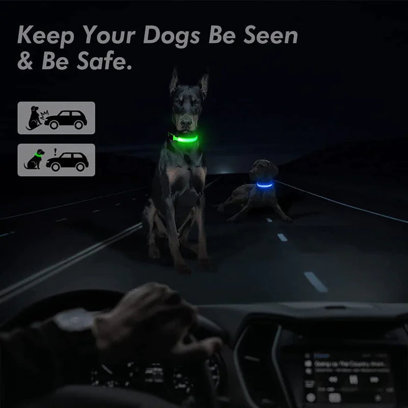 Luminous Safety Pet Collar with Adjustable LED
