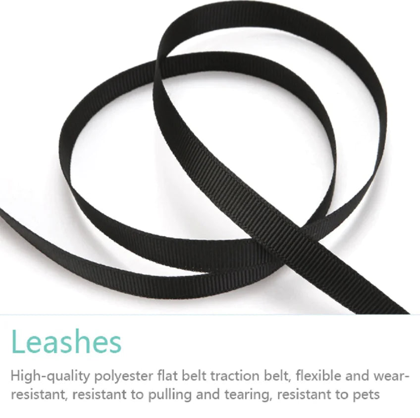 16.5FT Auto-Retract Dog Walking Leash