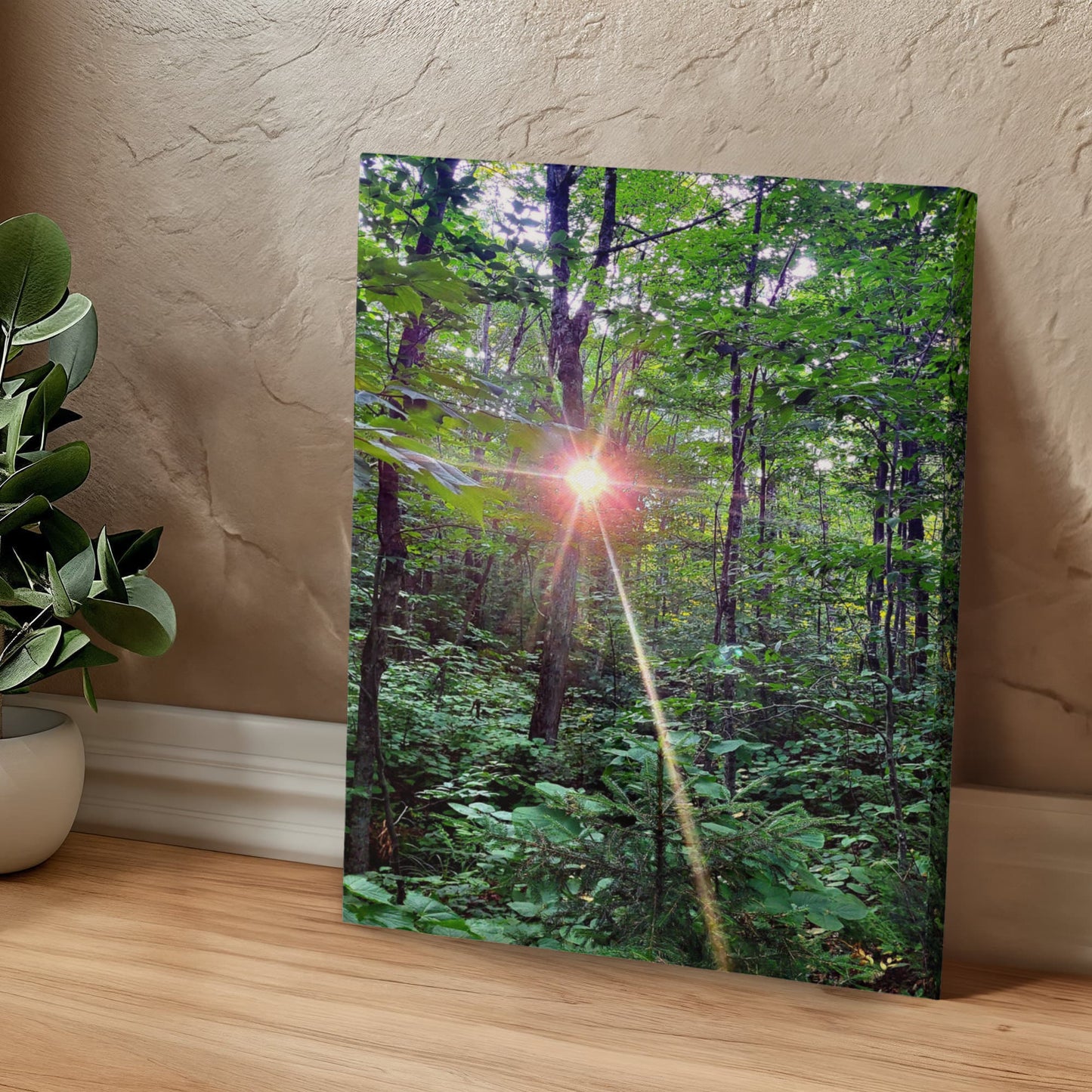 "Forest Sunrise, A Trailblazer's First Light" - Gallery Wrapped Canvas - Hiking With Stickers '24