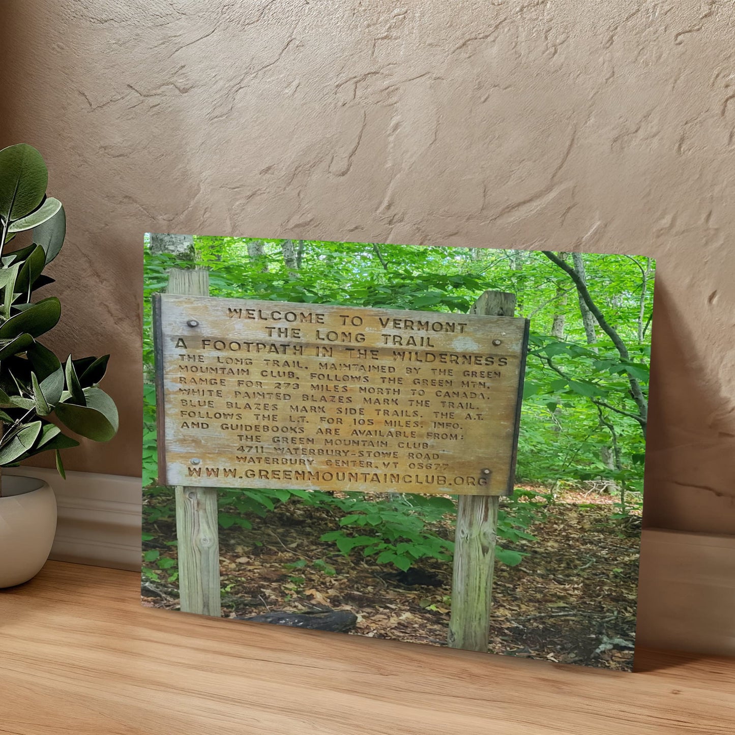 "Welcome to the Long Trail–A Path Through Time" - Gallery Wrapped Canvas - Hiking With Stickers '24