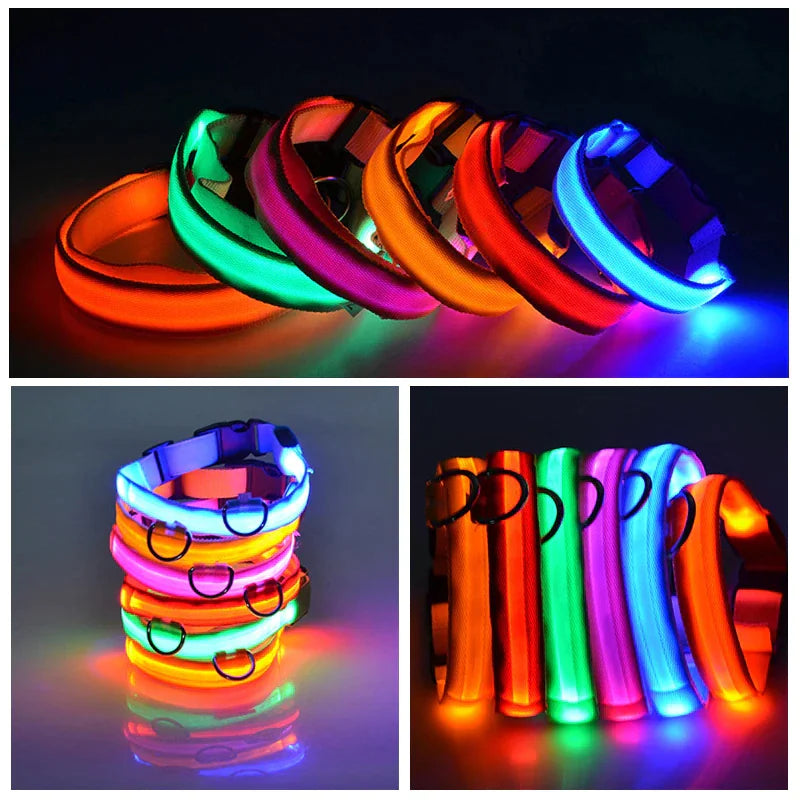 Luminous Safety Pet Collar with Adjustable LED