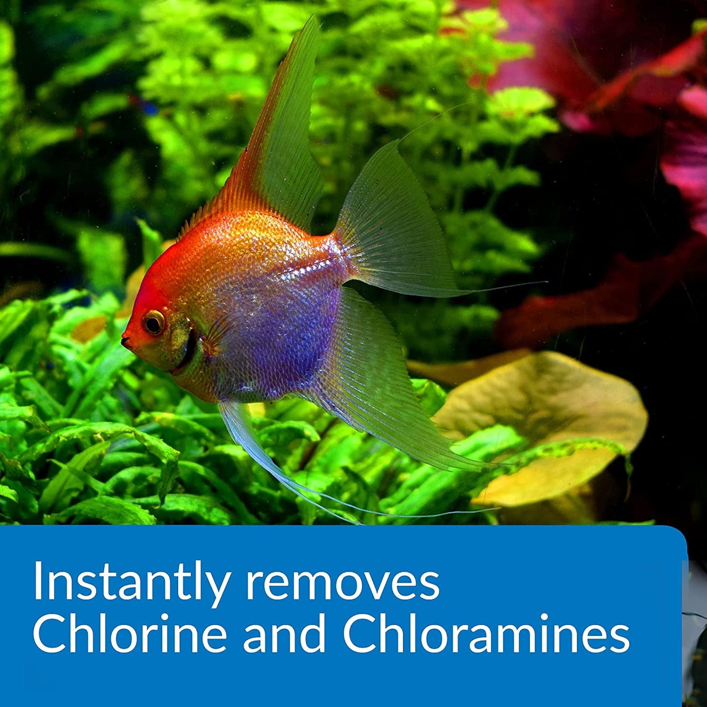 Ammo Lock Freshwater and Saltwater Aquarium Ammonia Detoxifier 1-Gallon Bottle