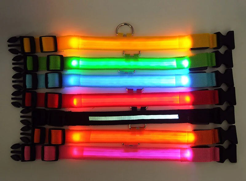 Luminous Safety Pet Collar with Adjustable LED