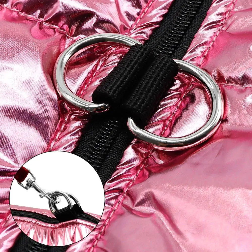 Stylish Waterproof Dog Outerwear