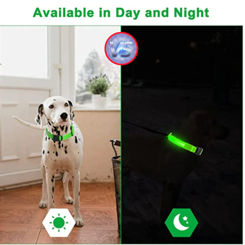 Luminous Safety Pet Collar with Adjustable LED