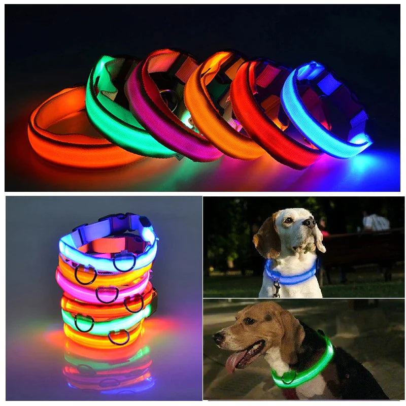 Luminous Safety Pet Collar with Adjustable LED