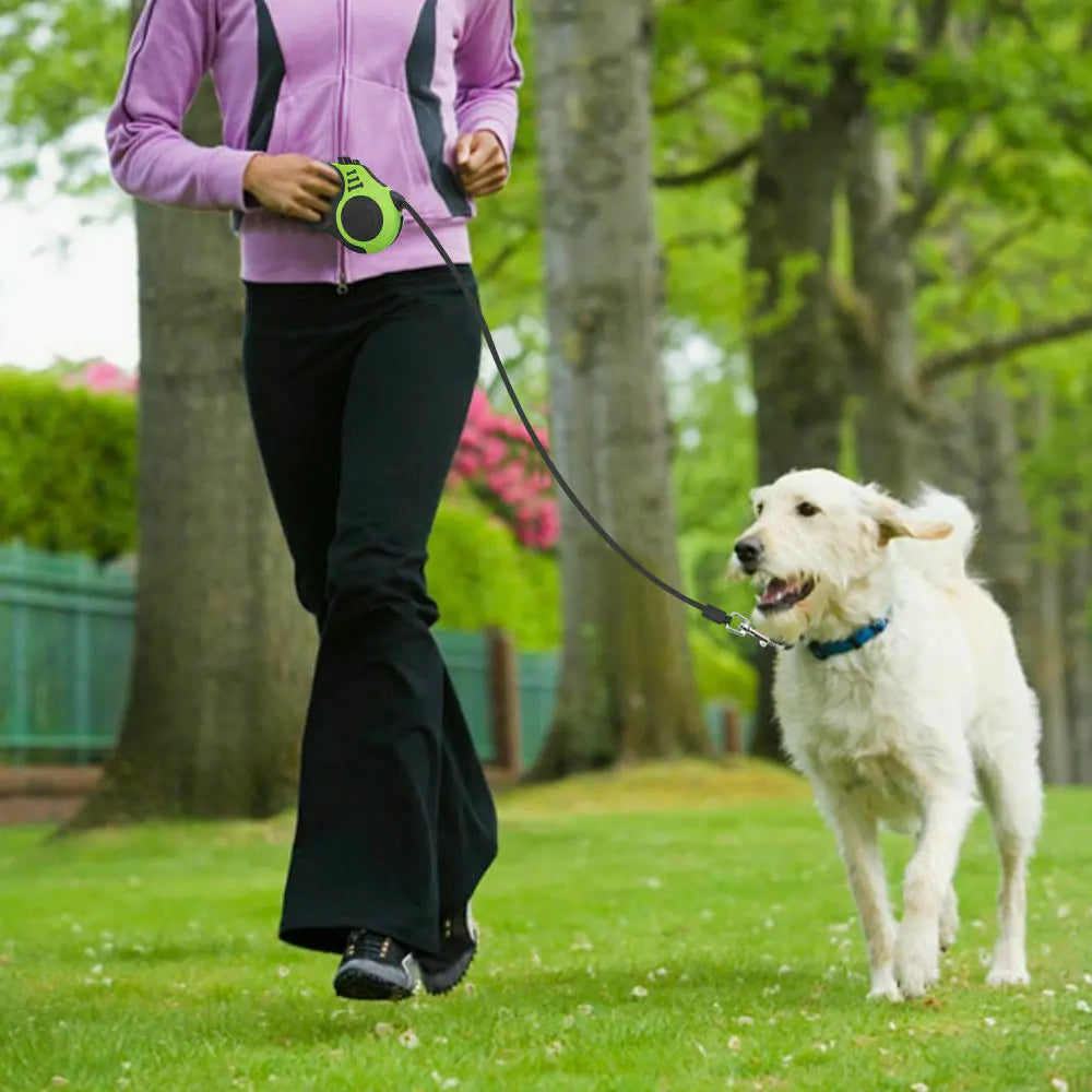 16.5FT Auto-Retract Dog Walking Leash
