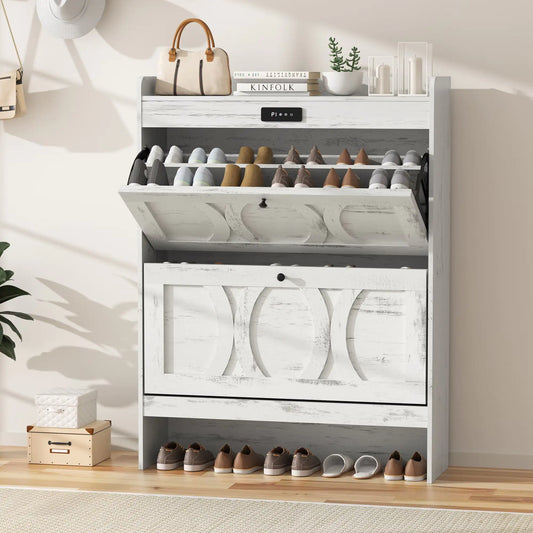 Aristocratic Deodorizing Shoe Organizer with LED Illumination