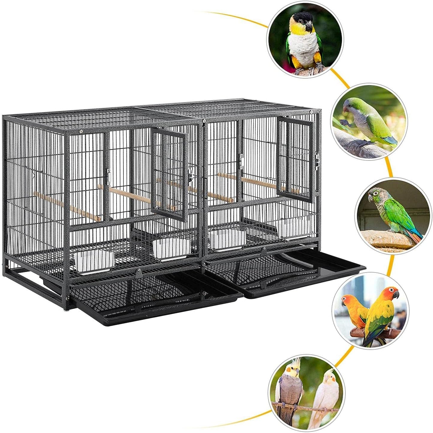Divided Breeder for Bird