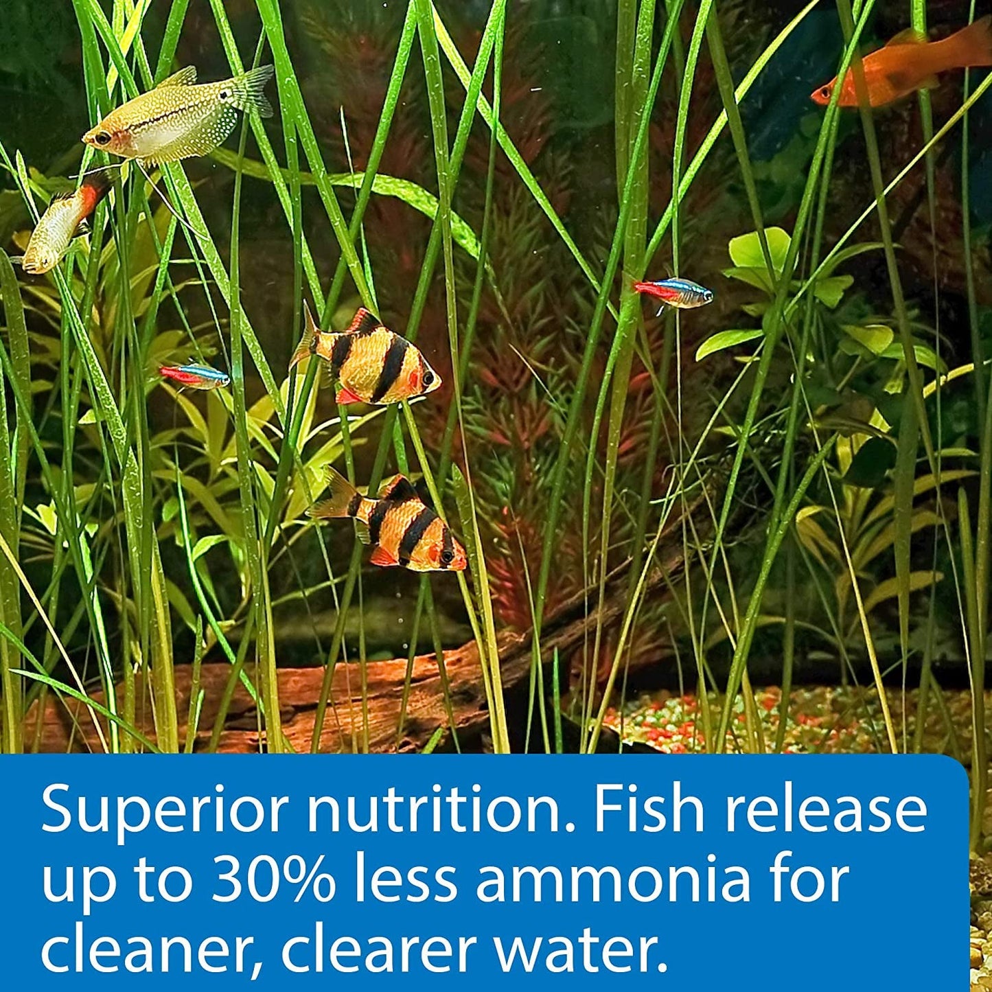 TROPICAL PELLETS Sinking Pellets Fish Food 4.2-Ounce Container, Medium (823B)