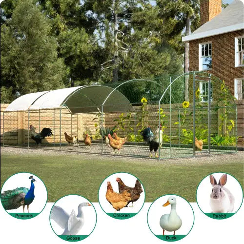 Large Metal Chicken Coop