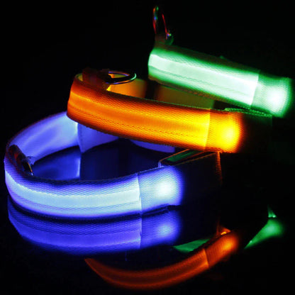 Luminous Safety Pet Collar with Adjustable LED