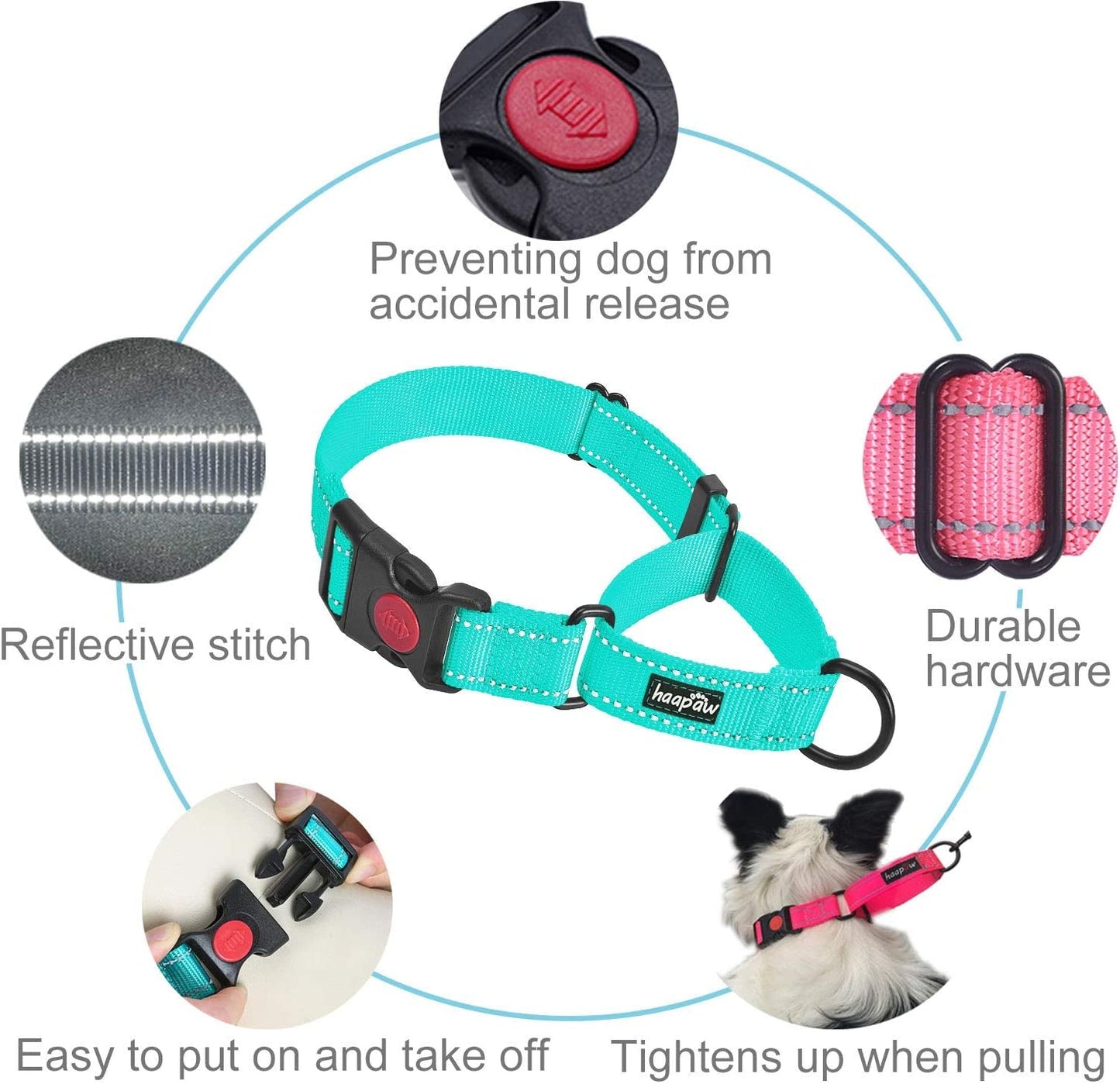 2 Packs Dog Training Collars for Small Medium Large Dogs