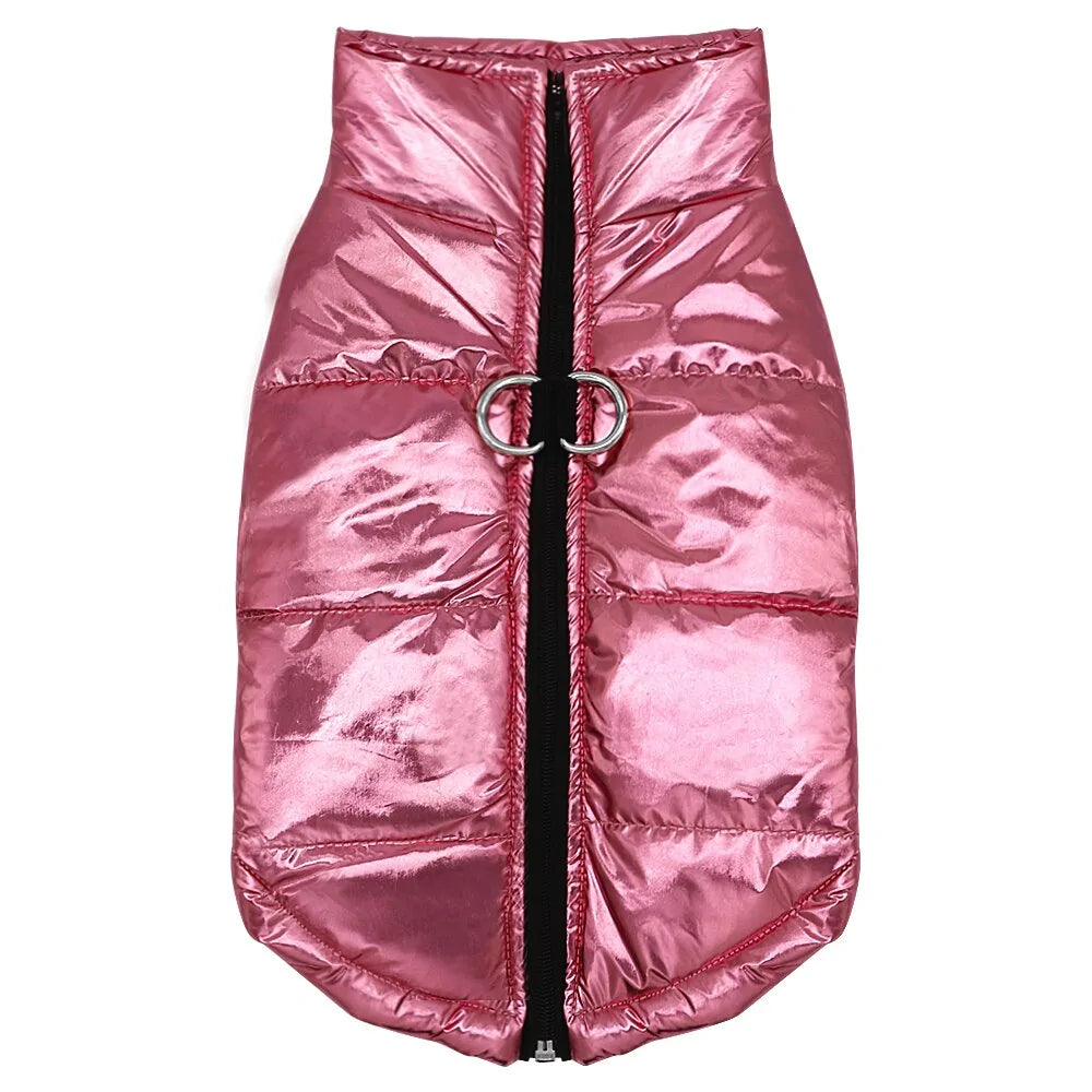 Stylish Waterproof Dog Outerwear