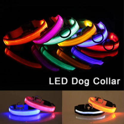 Luminous Safety Pet Collar with Adjustable LED