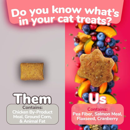 Cat Crunchy Treats  made with salmon