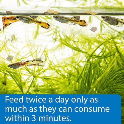 2.1-OUNCE TROPICAL GREENS FLAKES