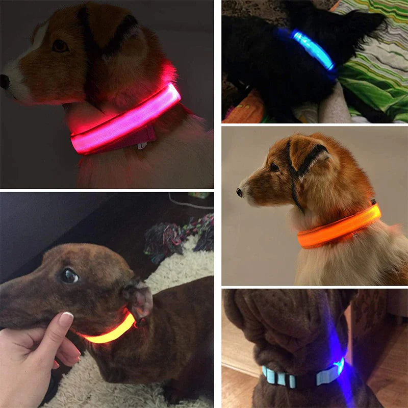 Luminous Safety Pet Collar with Adjustable LED