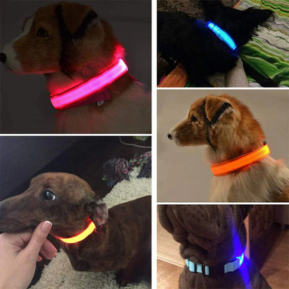 Luminous Safety Pet Collar with Adjustable LED