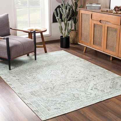 Barny Sage Flat Pile Washable Rug