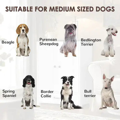 Pawfect Station: Dual-Bowl Dog Feeder with Storage & Hooks