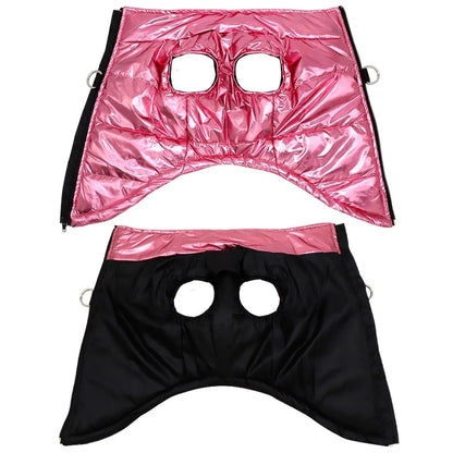 Stylish Waterproof Dog Outerwear