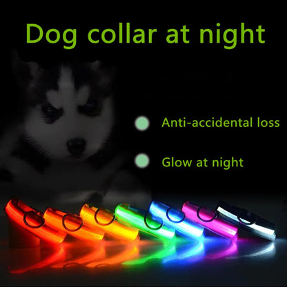 Luminous Safety Pet Collar with Adjustable LED
