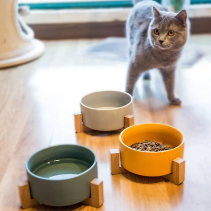 Ceramic Raised Cat Bowl w/ Wood Stand