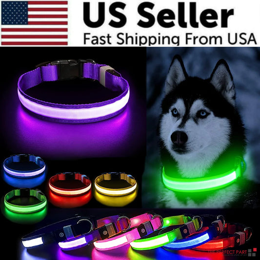 Luminous Safety Pet Collar with Adjustable LED