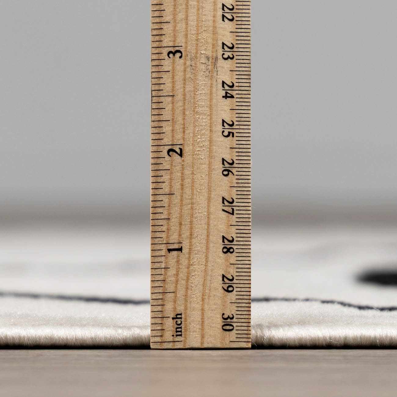 Eilir Modern Low Profile Boho Rug