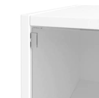 Luminous RGB LED White Shoe Cabinet with Glass Doors