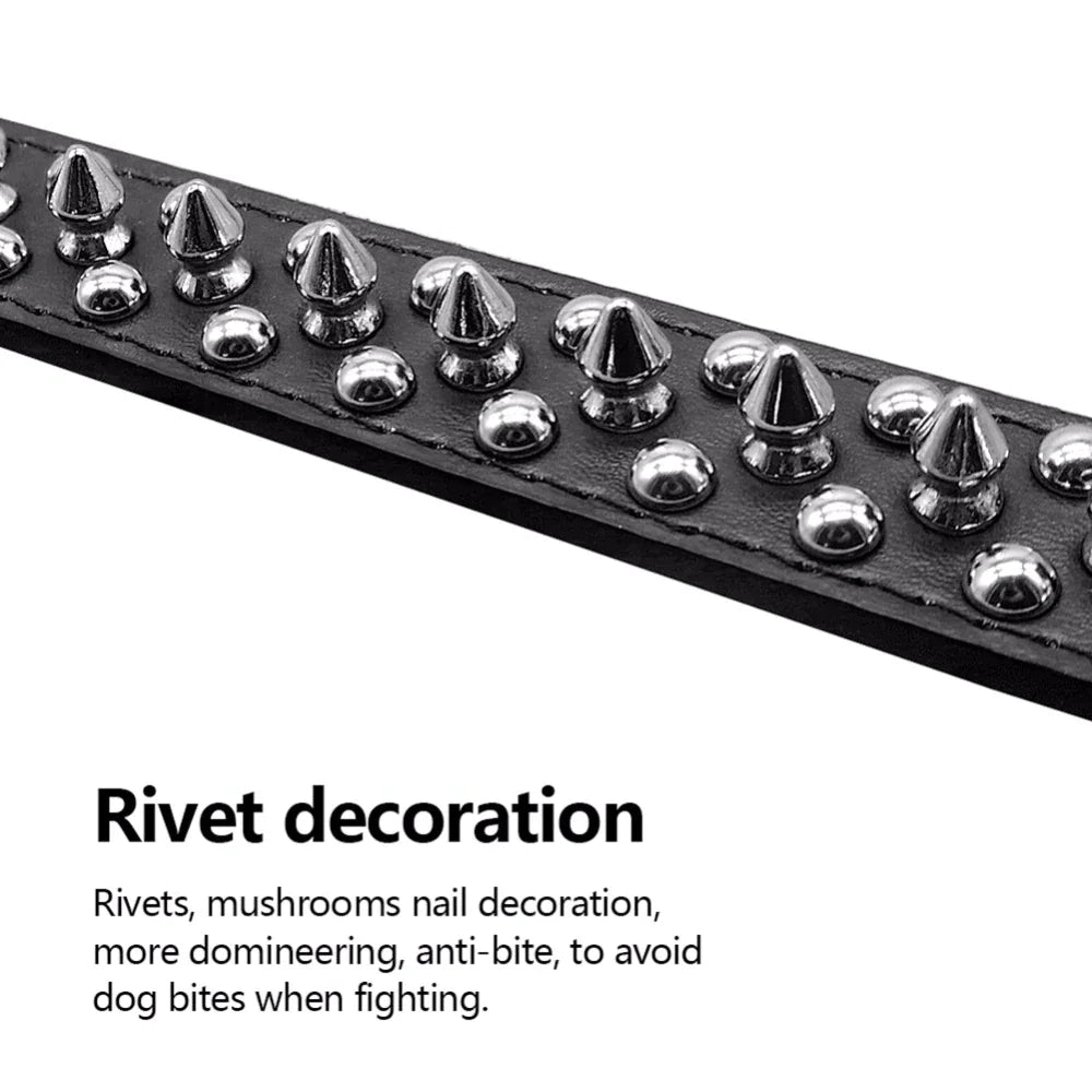 Rugged Leather Spiked Collar for Dogs and Cats