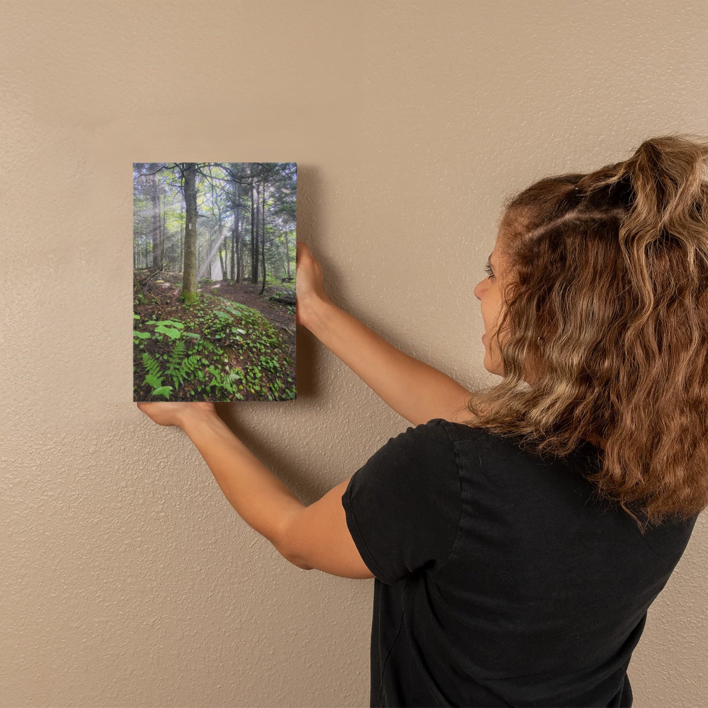 "Morning Light on the Long Trail" - Gallery Wrapped Canvas - Hiking With Stickers '24