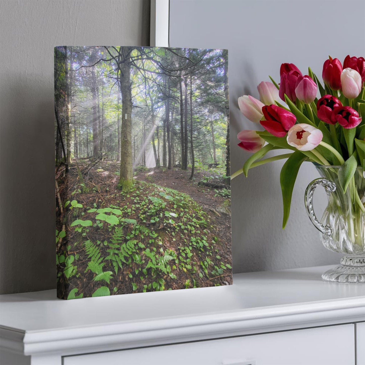 "Morning Light on the Long Trail" - Gallery Wrapped Canvas - Hiking With Stickers '24