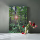 "Forest Sunrise, A Trailblazer's First Light" - Gallery Wrapped Canvas - Hiking With Stickers '24