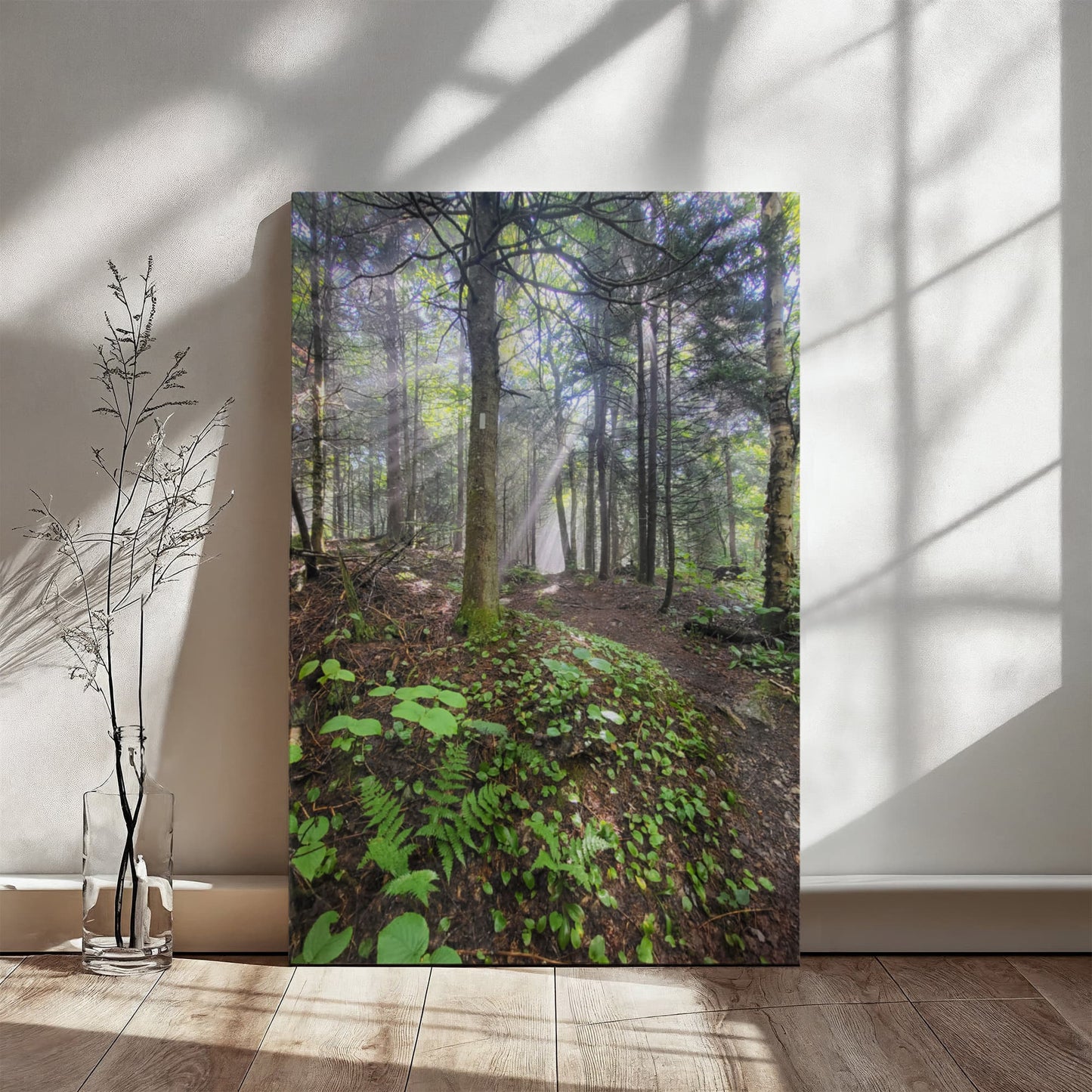 "Morning Light on the Long Trail" - Gallery Wrapped Canvas - Hiking With Stickers '24