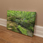 "Serene Oasis on the Long Trail" - Gallery Wrapped Canvas - Hiking With Stickers '24