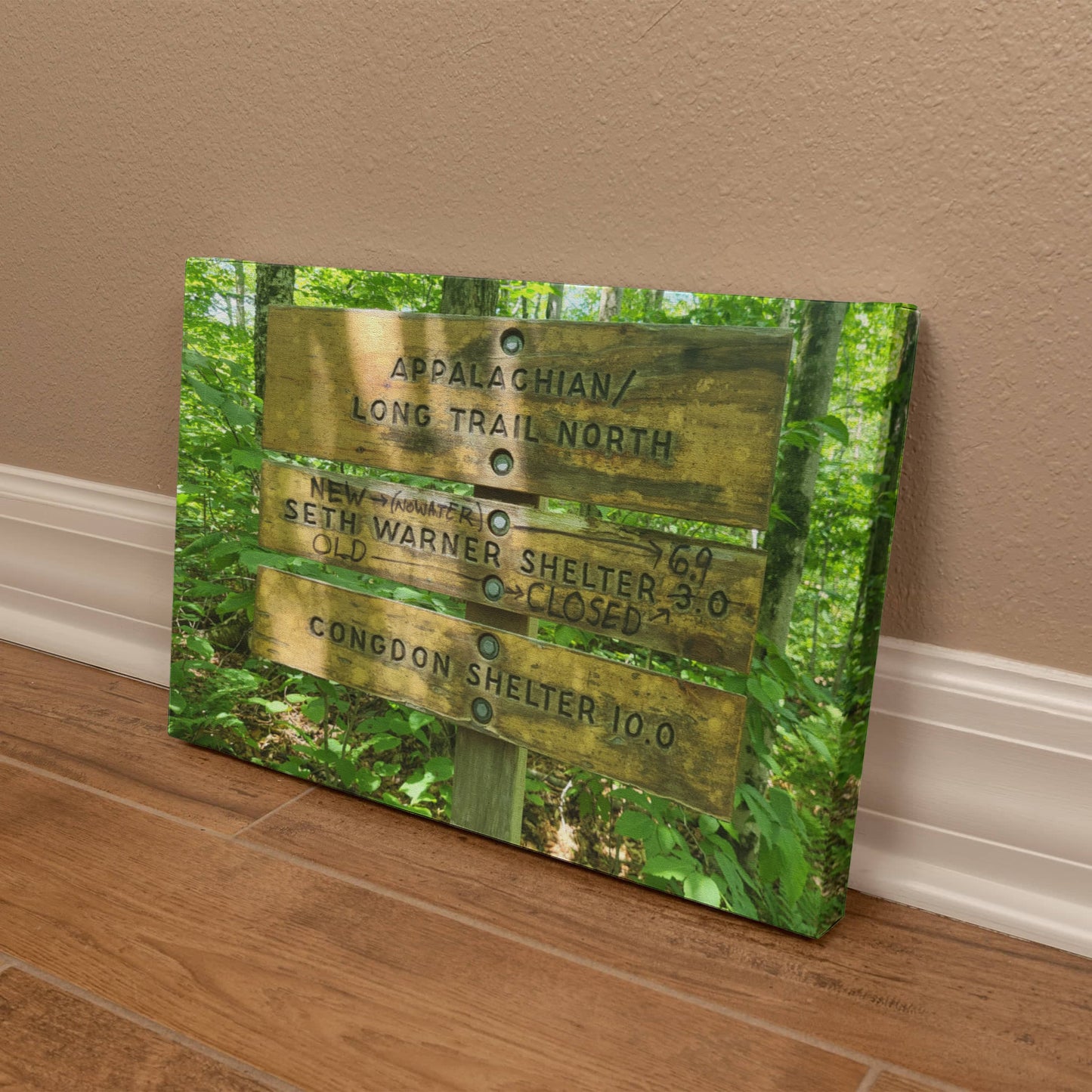 "Trail Crossroads – The Journey Unfolds" / Gallery Wrapped Canvas / Hiking With Stickers '24