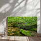 "Serene Oasis on the Long Trail" - Gallery Wrapped Canvas - Hiking With Stickers '24