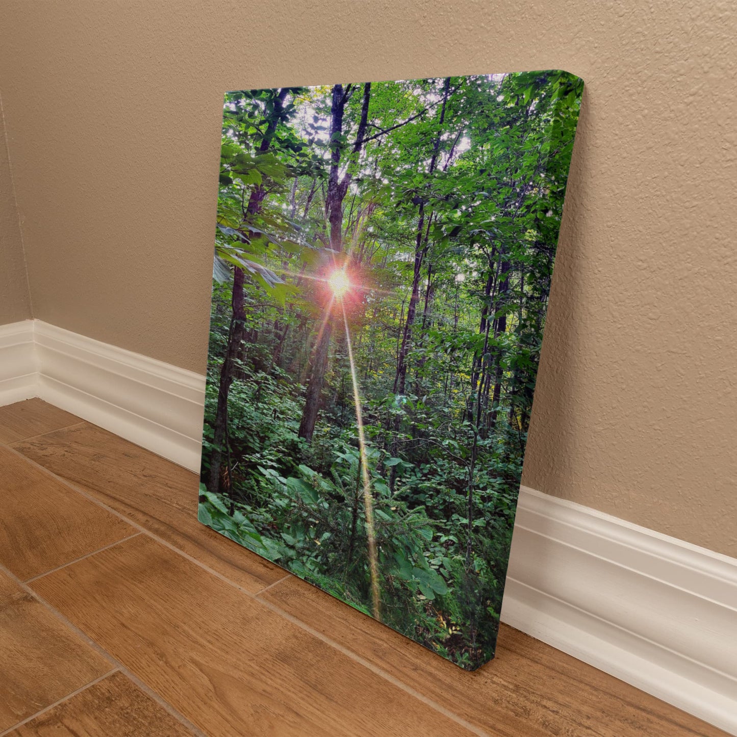"Forest Sunrise, A Trailblazer's First Light" - Gallery Wrapped Canvas - Hiking With Stickers '24