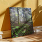 "Morning Light on the Long Trail" - Gallery Wrapped Canvas - Hiking With Stickers '24