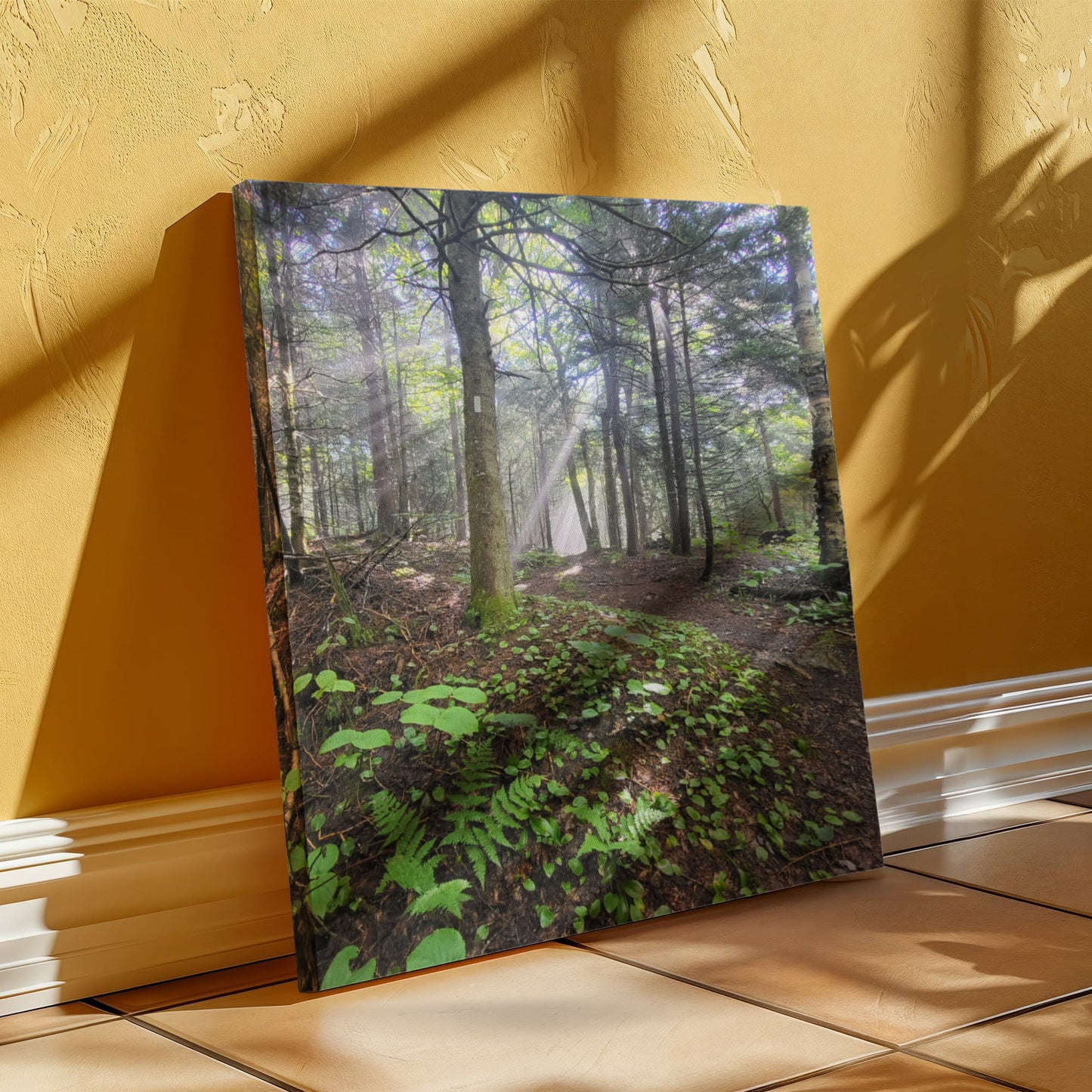 "Morning Light on the Long Trail" - Gallery Wrapped Canvas - Hiking With Stickers '24