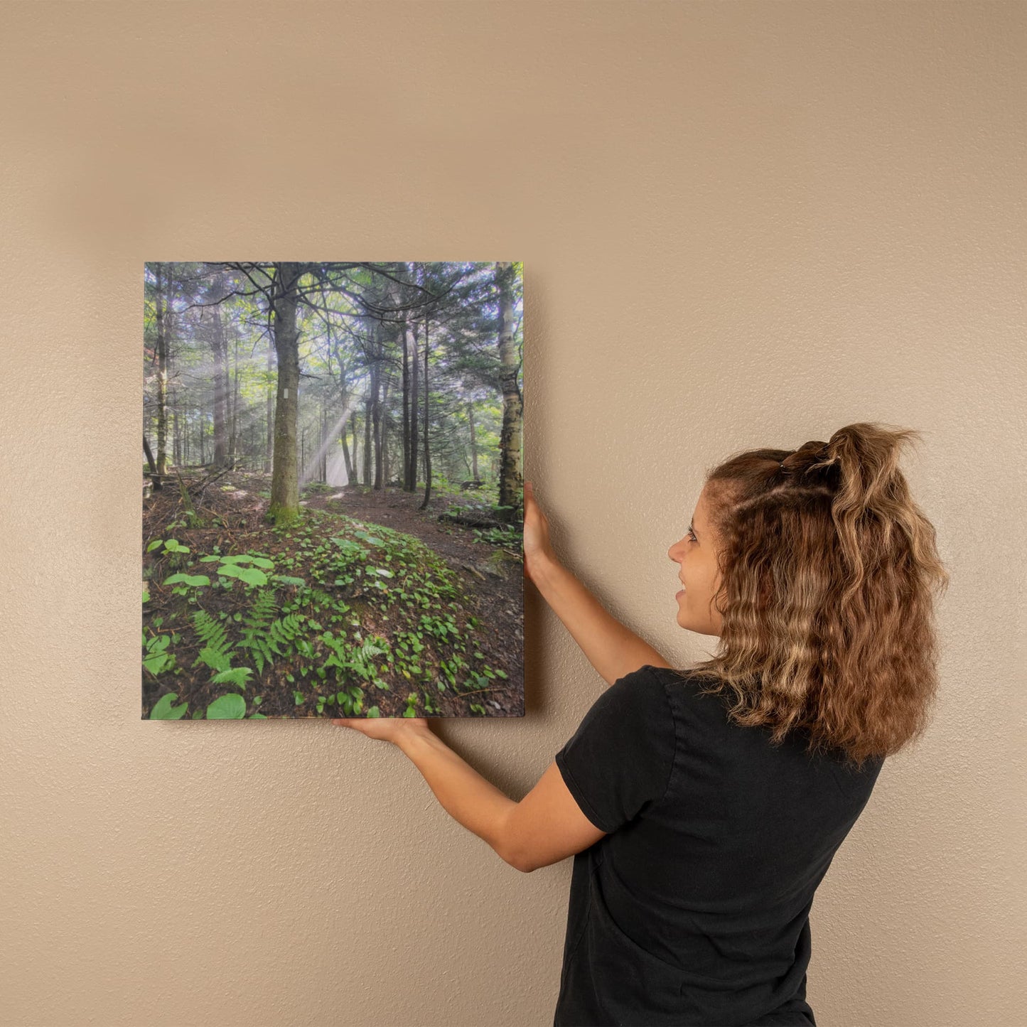 "Morning Light on the Long Trail" - Gallery Wrapped Canvas - Hiking With Stickers '24