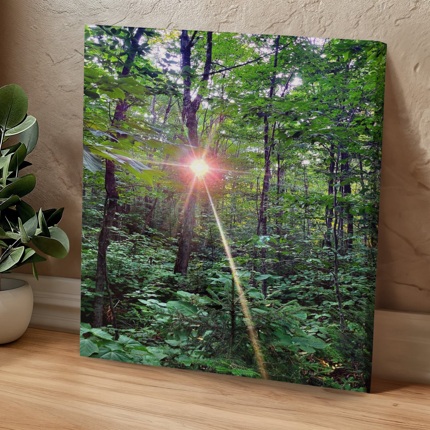 "Forest Sunrise, A Trailblazer's First Light" - Gallery Wrapped Canvas - Hiking With Stickers '24