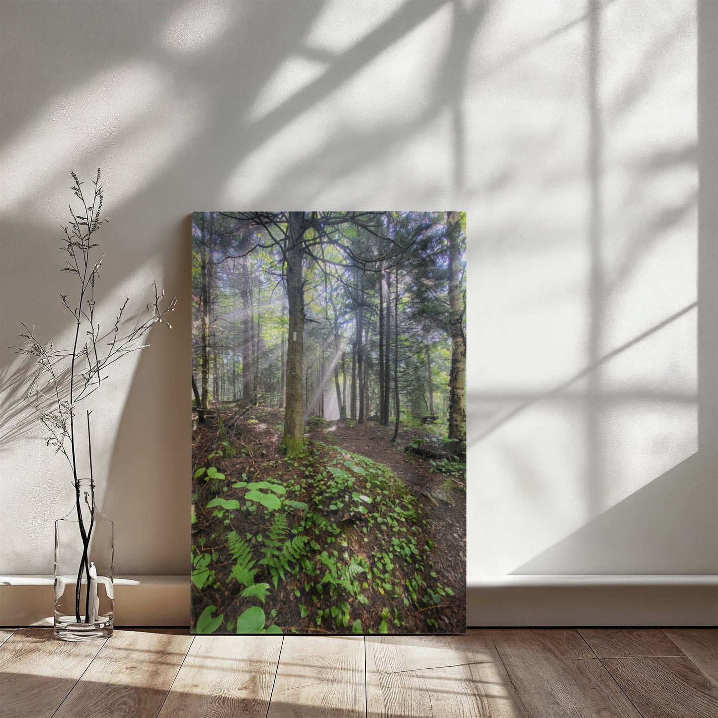 "Morning Light on the Long Trail" - Gallery Wrapped Canvas - Hiking With Stickers '24