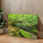 "Serene Oasis on the Long Trail" - Gallery Wrapped Canvas - Hiking With Stickers '24